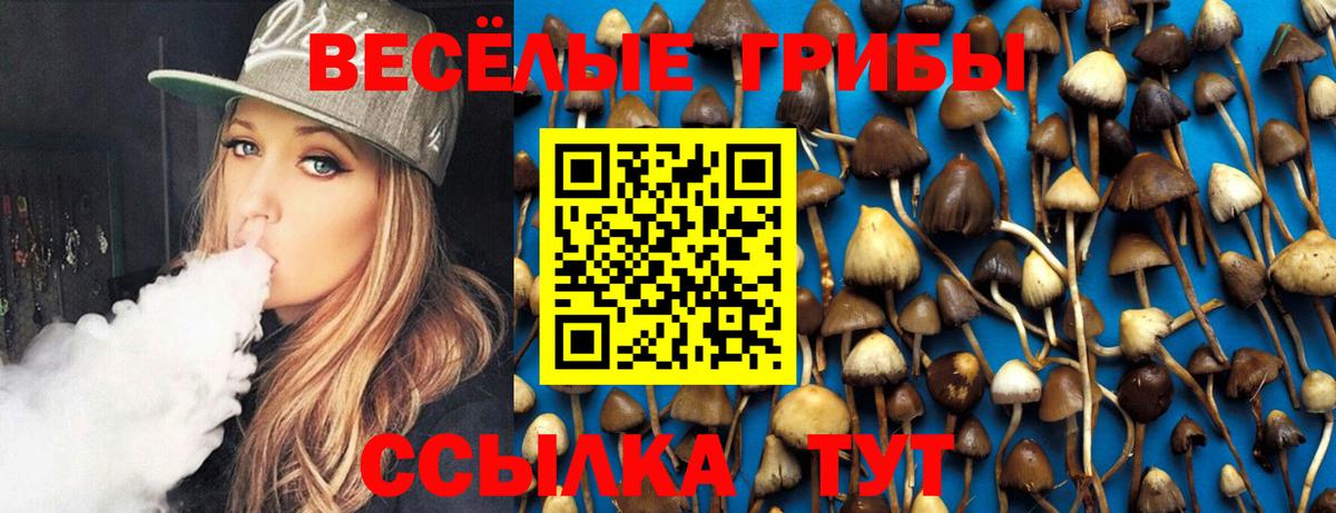 Галлюциногенные грибы MAGIC MUSHROOMS Волжский