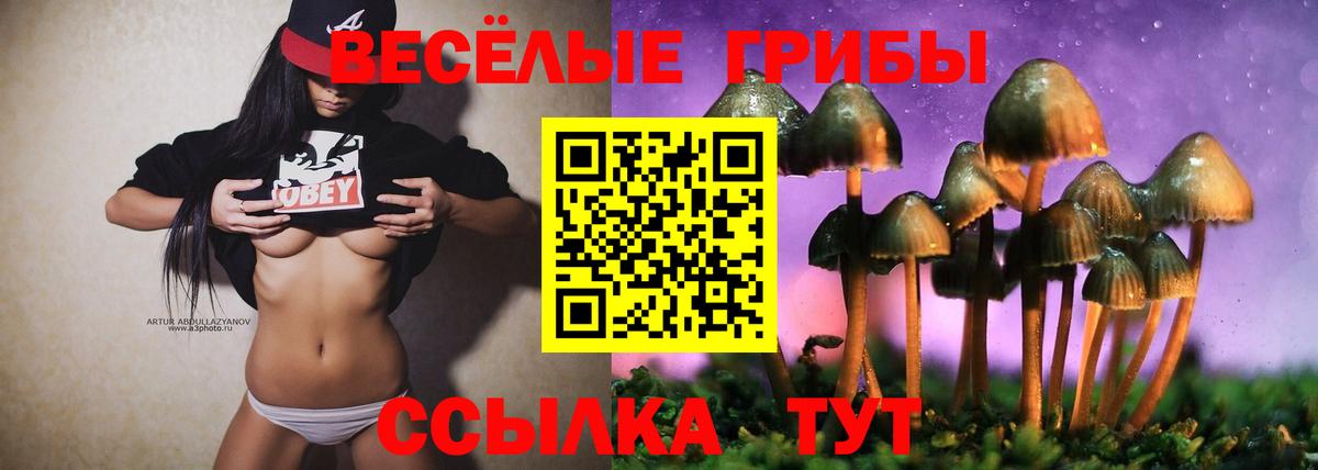 Псилоцибиновые грибы Psilocybe  Вход с VPN  Волжский 